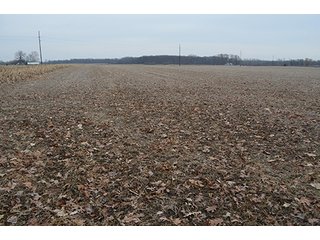 Property photo 9 - LAND AUCTION, 77 Acres offered in 3 Tracts